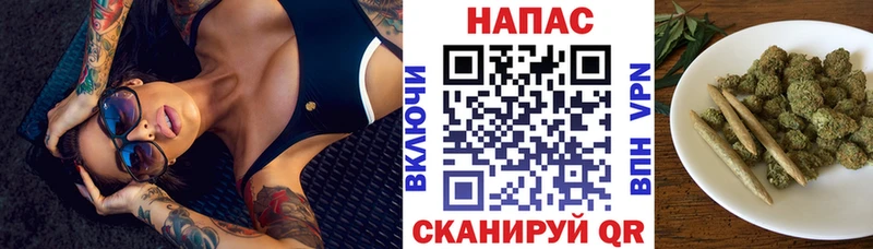 Каннабис планчик  Купить  Грязовец 
